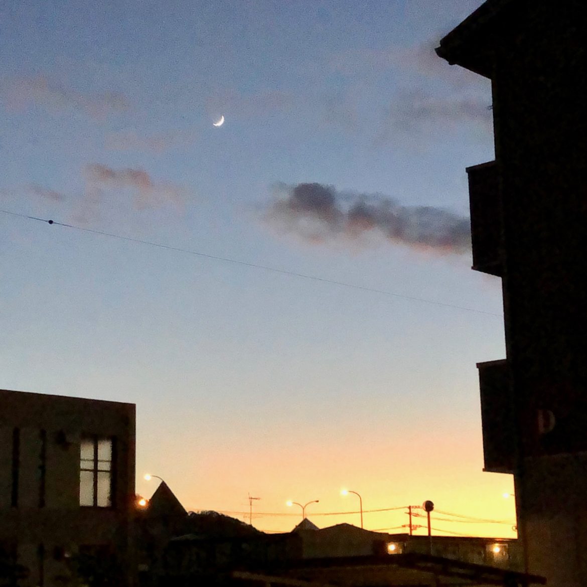 ザ・コーチ 感想