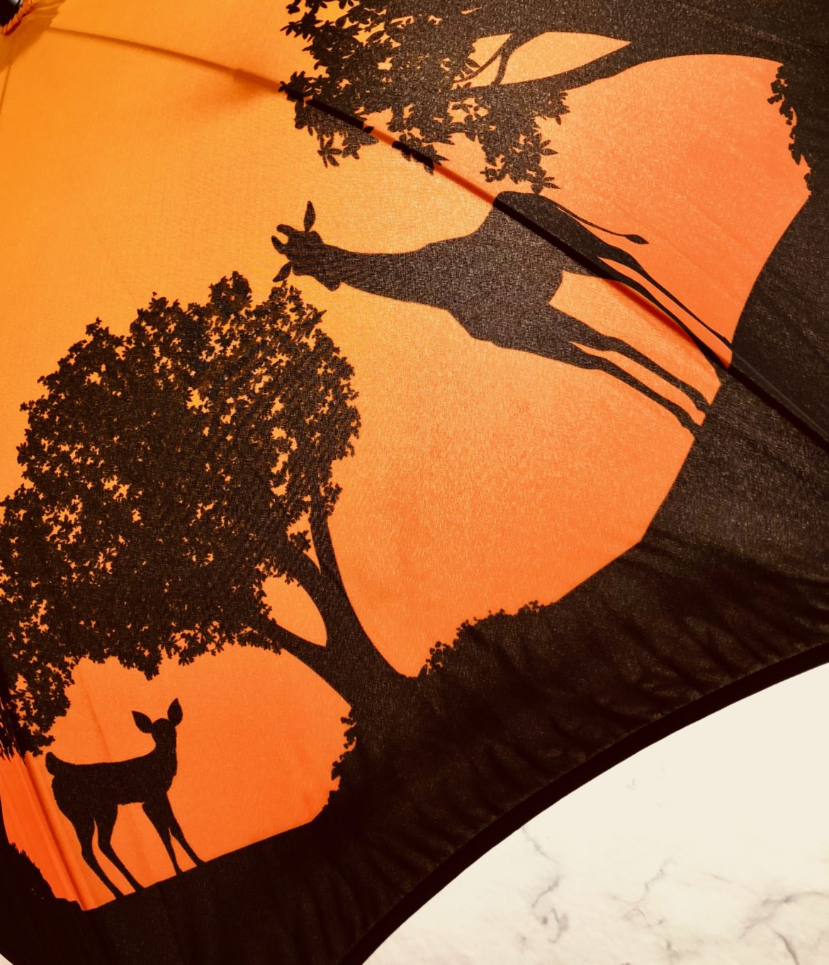 IMG_1717 ウォーターフロント