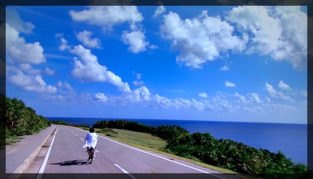 自転車で走る海沿いの道