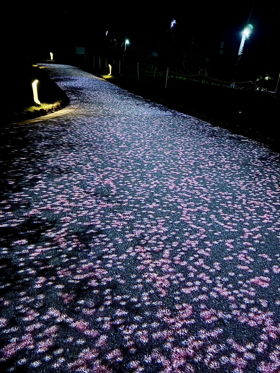 【山口】瑠璃光寺 五重塔のプロジェクションマッピングが綺麗で無料