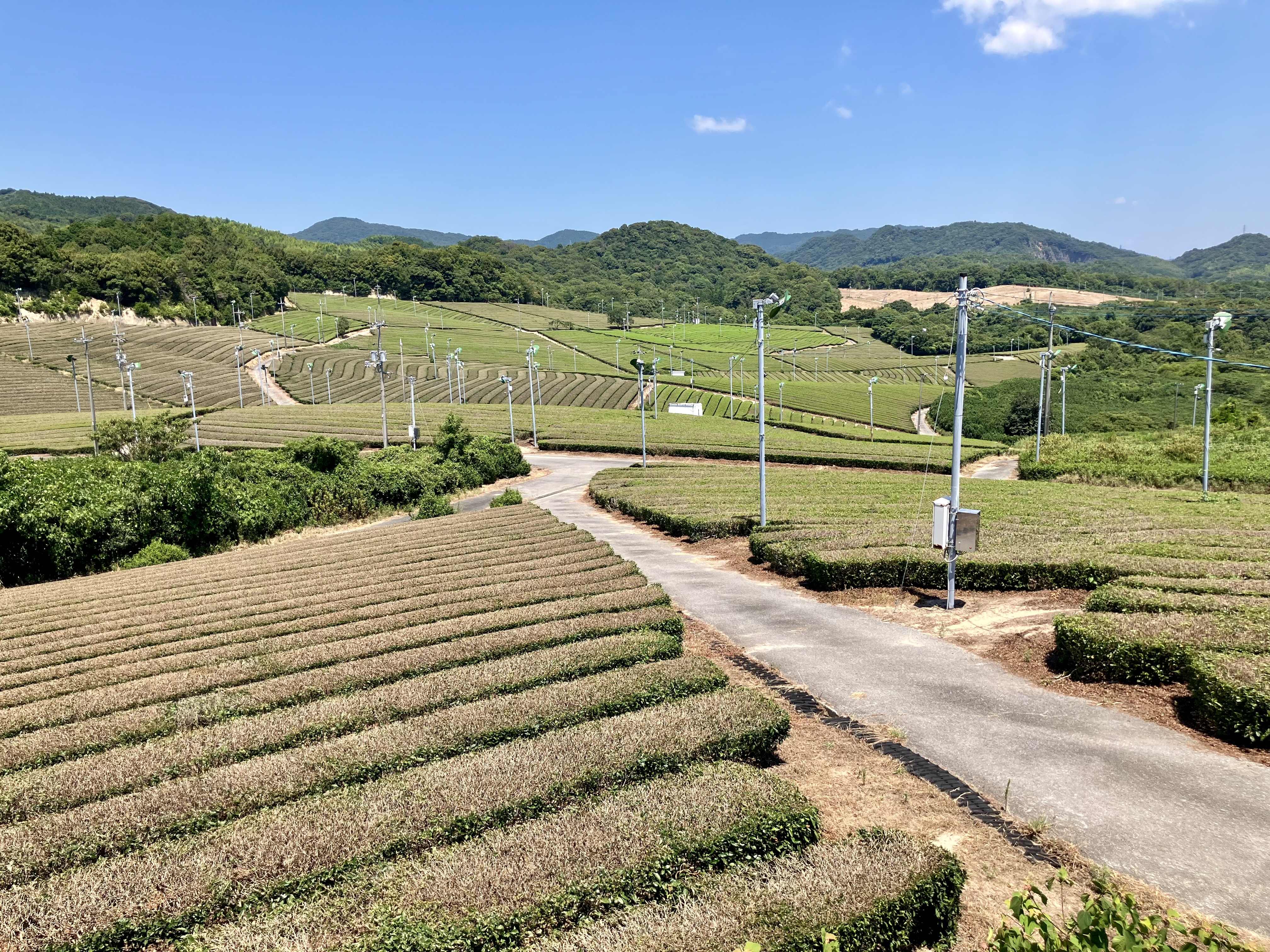 山口県 小野が誰も知らないジブリすぎる！世界に迷い込む場所4選