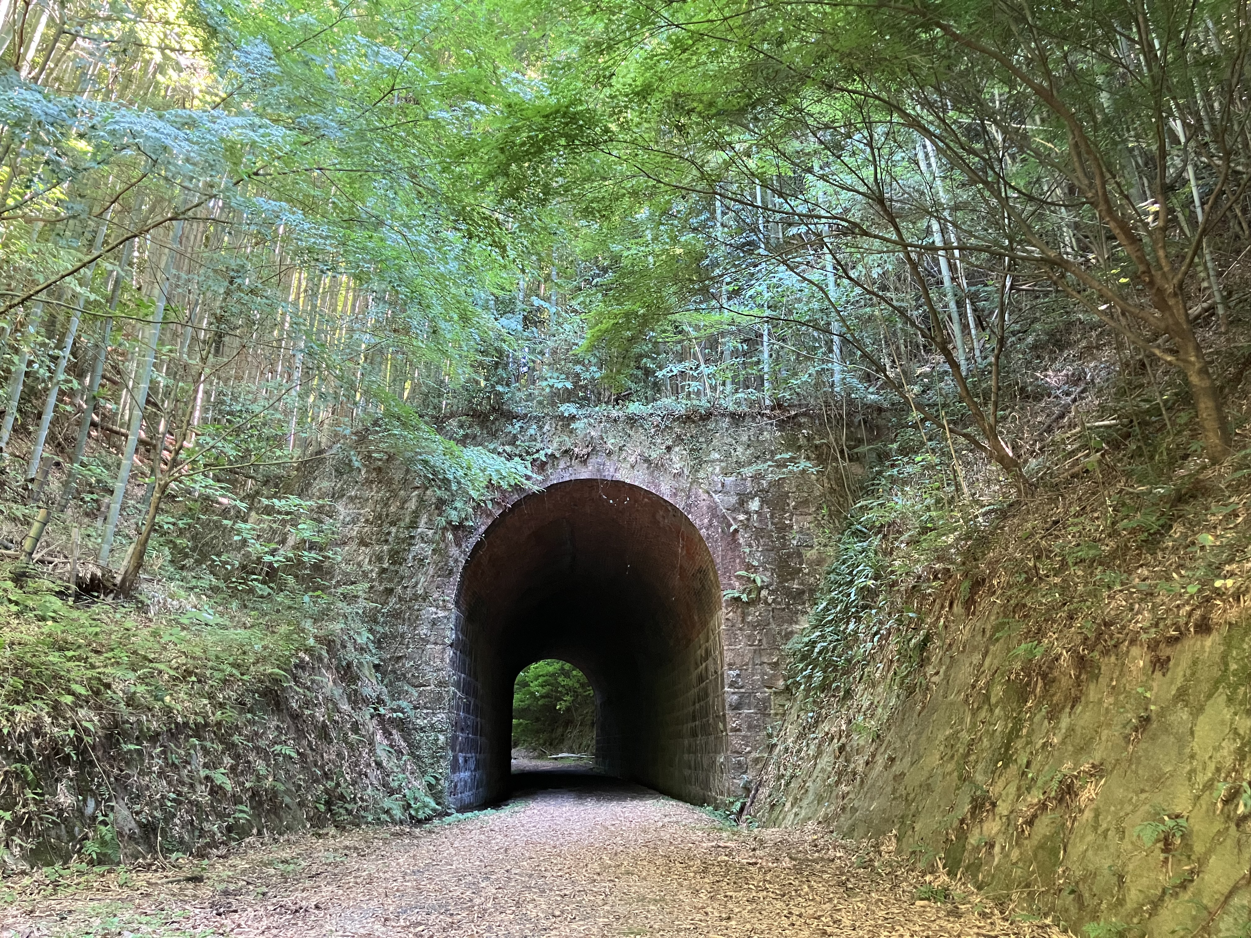 山口県 小野が誰も知らないジブリすぎる！世界に迷い込む場所4選