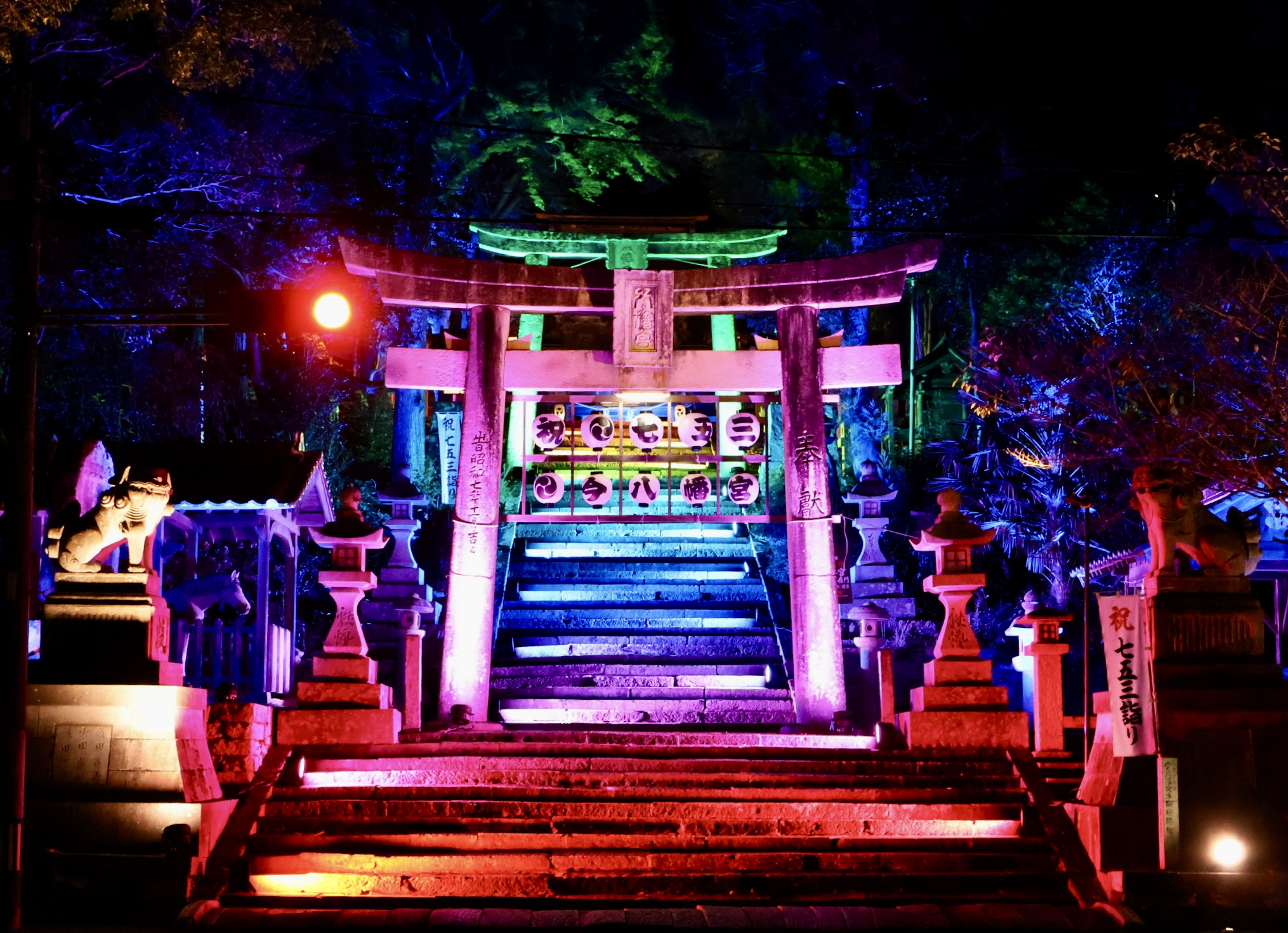 山口市の夜に浮かぶ幻想のライトアップ★今八幡宮が光の神社に!