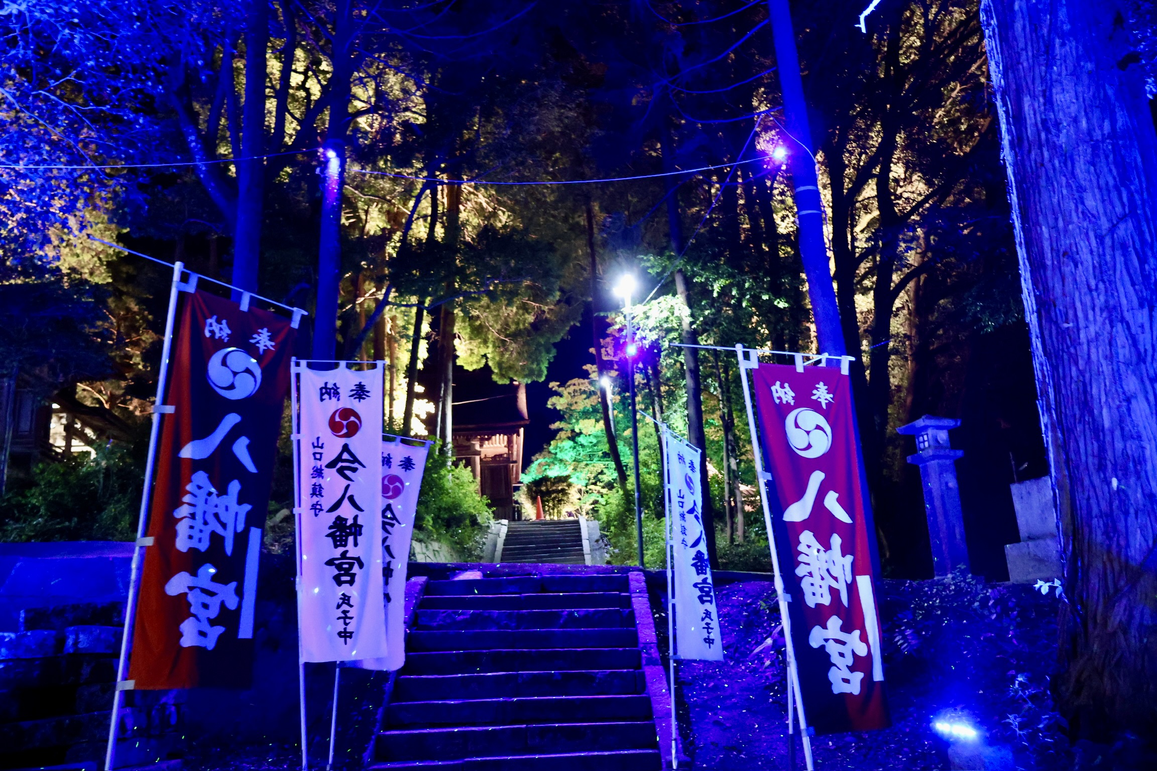 山口市の夜に浮かぶ幻想のライトアップ★今八幡宮が光の神社に!