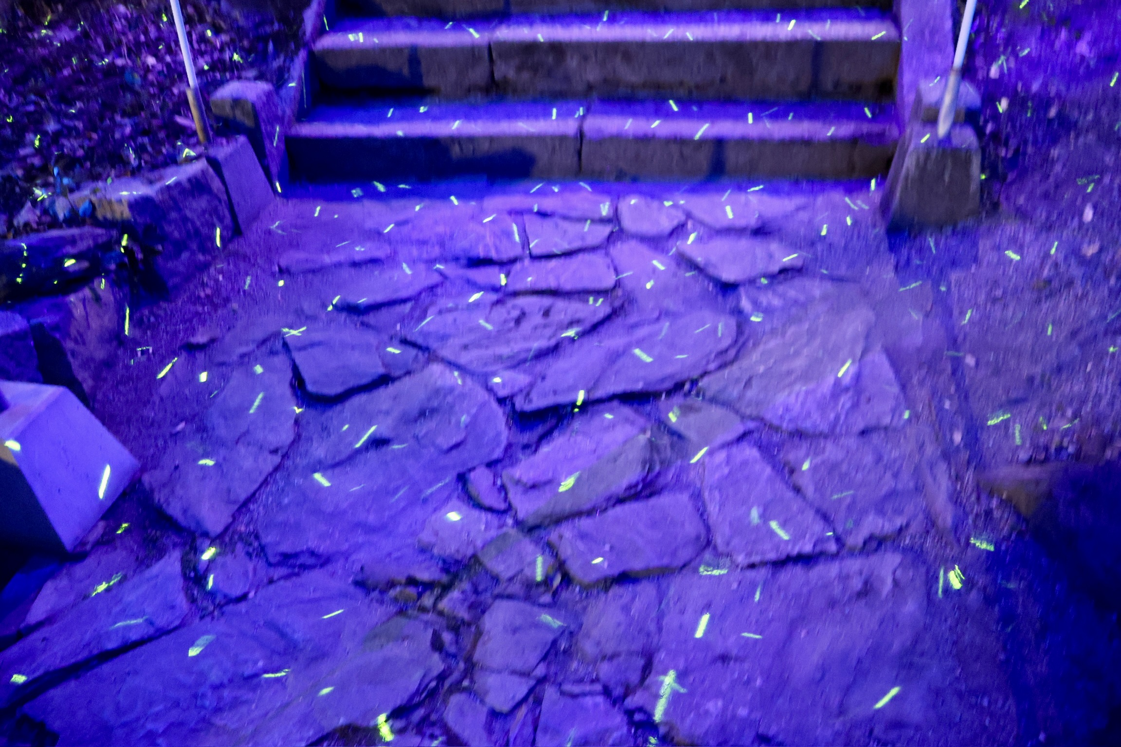 山口市の夜に浮かぶ幻想のライトアップ★今八幡宮が光の神社に!