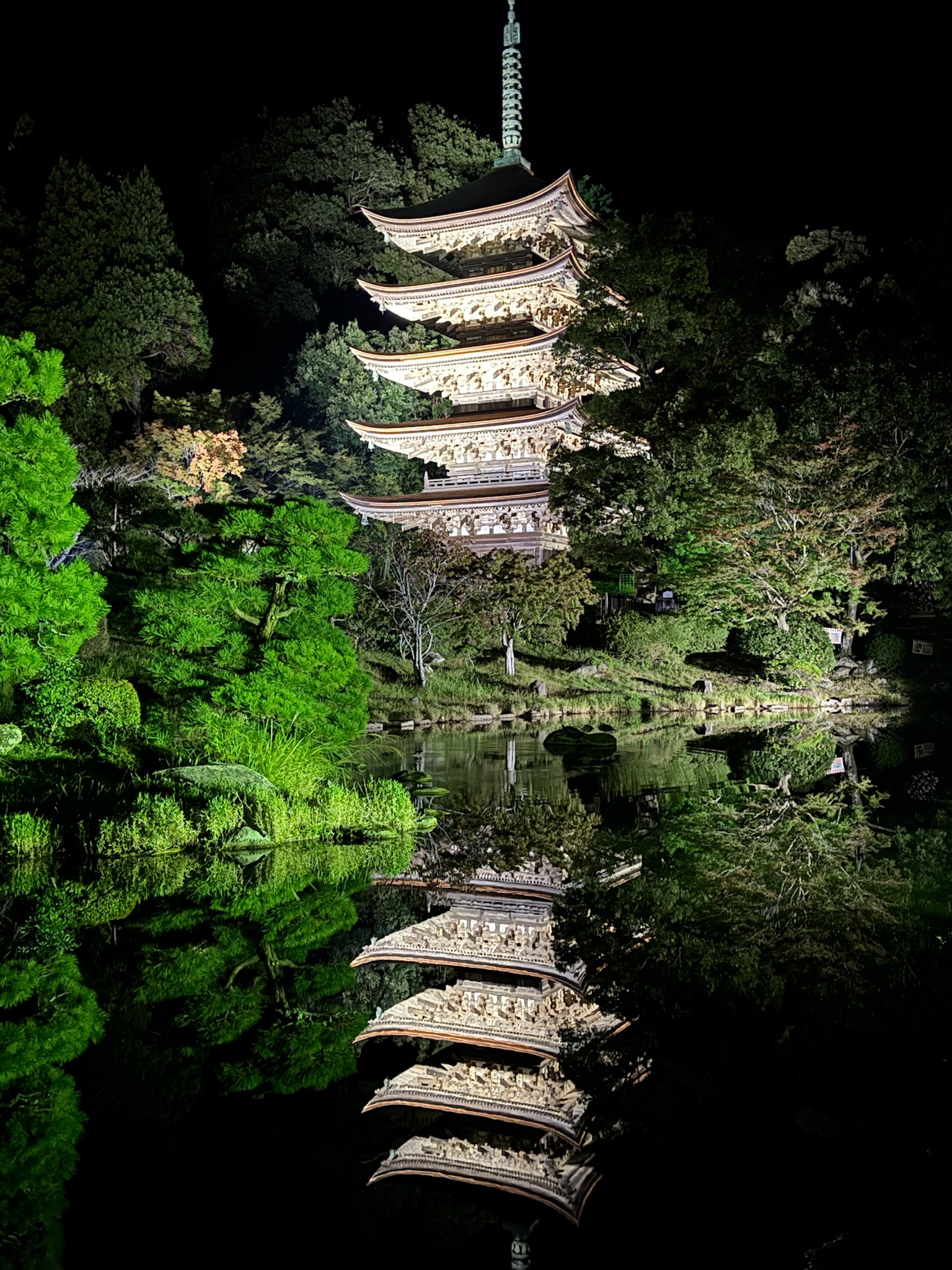 山口市の夜に浮かぶ幻想のライトアップ★今八幡宮が光の神社に!