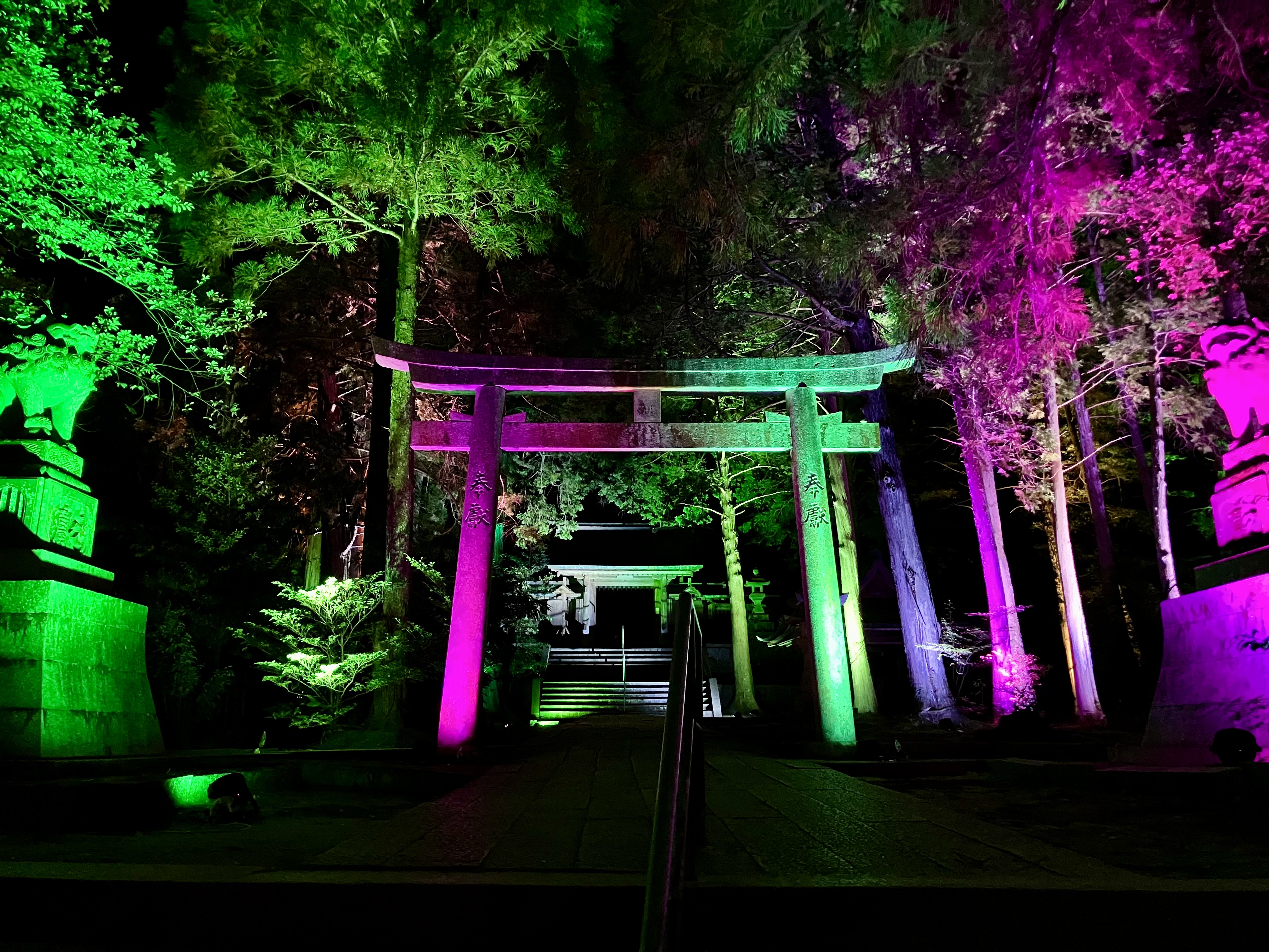 山口市の夜に浮かぶ幻想のライトアップ★今八幡宮が光の神社に!