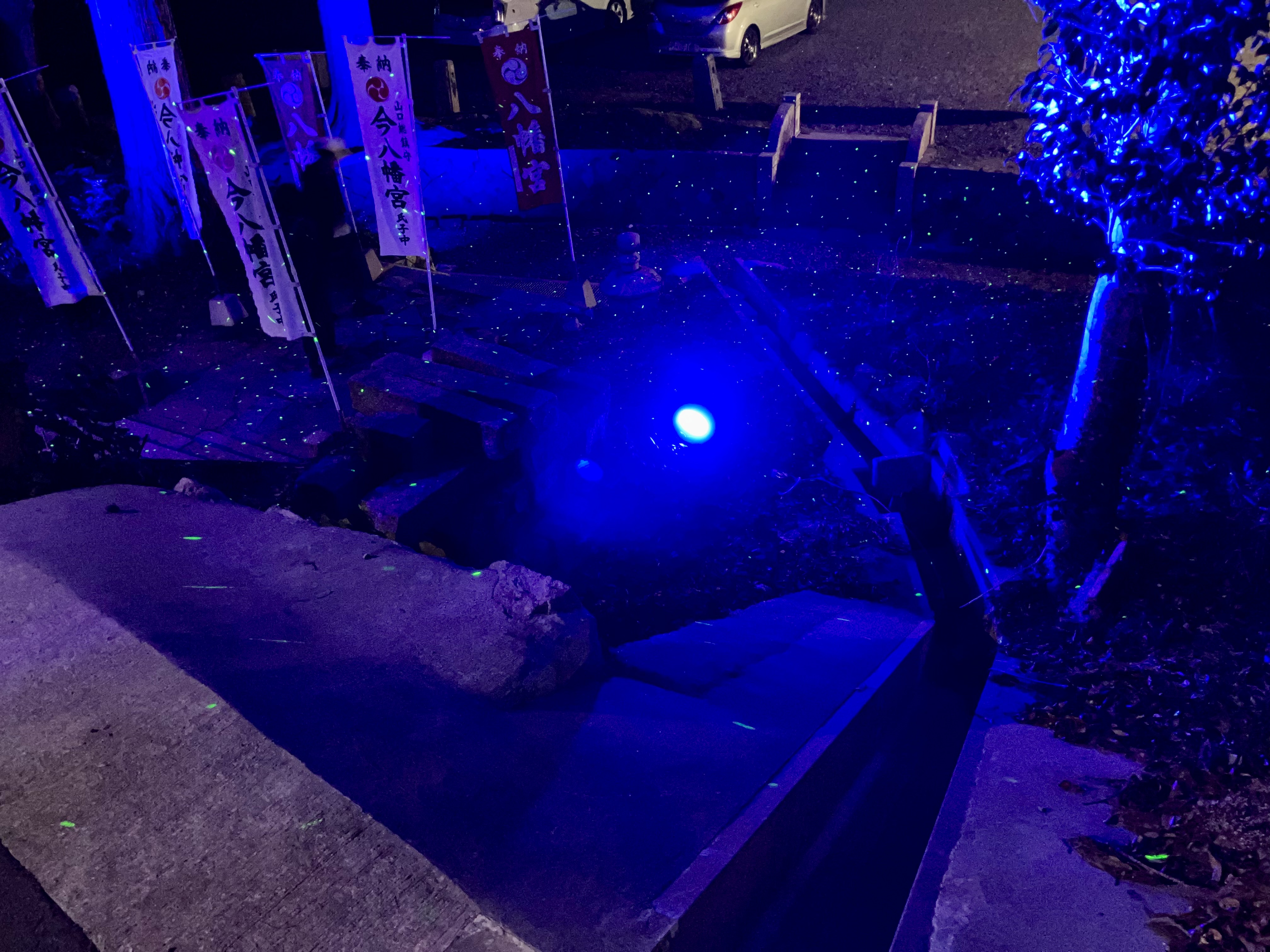 山口市の夜に浮かぶ幻想のライトアップ★今八幡宮が光の神社に!